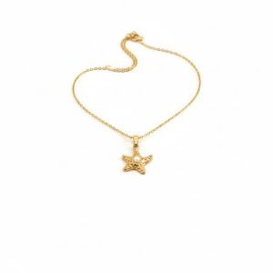 Bahr Stainless Steel Star Necklace Gold